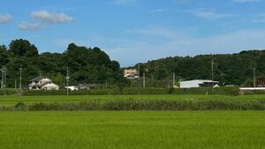 水田からみた集落地域2