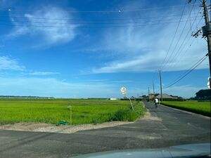 図5.　水田と列状集落