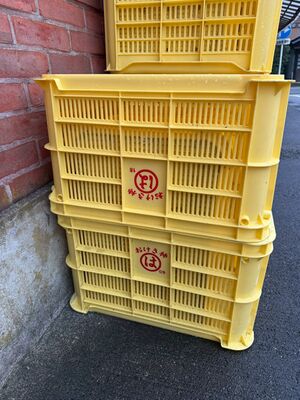 図2　おけさ柿のコンテナ