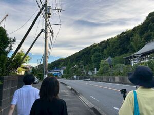 図8.　水原の主要道路と微高地集落