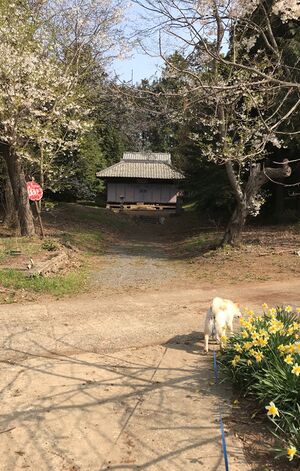 宇治会鹿島神社3