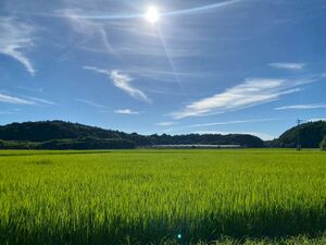 水田からみた集落地域1