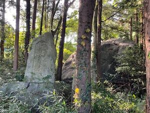 宇治会巨石群1